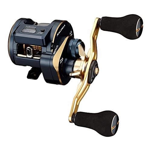 Daiwa saltiga 100pl dh - 21,