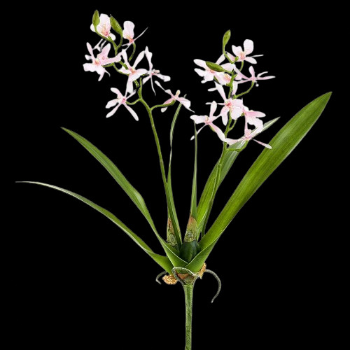 Fusto artificiale mini - fusto,