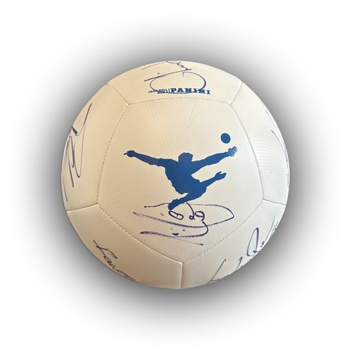 Acf fiorentina pallone - acf,
