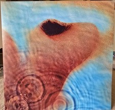 Pink Floyd "Meddle" 2016 LP 33