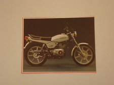 RITAGLIO DI GIORNALE 1981 MOTO