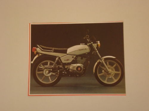 Ritaglio giornale 1981 moto - ritaglio, di