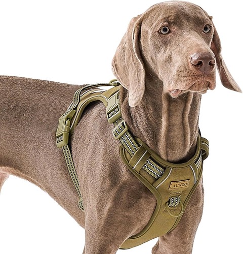 Large imbracatura per cani - x-large,