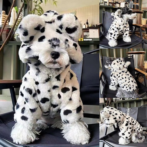 Abbigliamento per cani - abbigliamento,