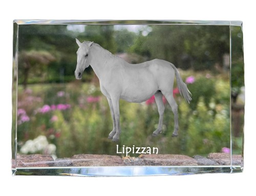 Lipizzano cristallo con