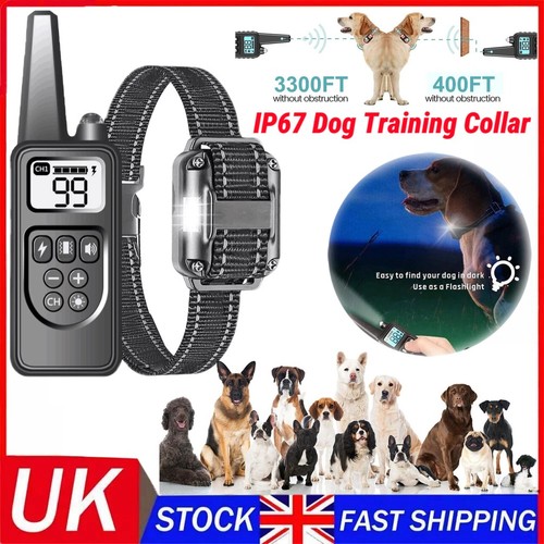 Collare elettrico 1000m - elettrico,