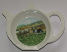 Border Collie cane da pastore