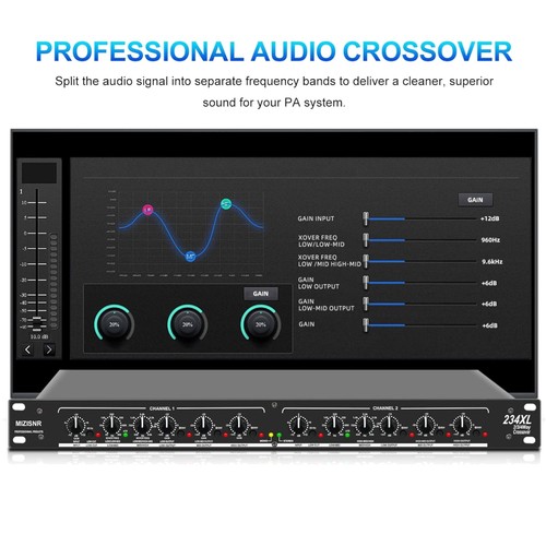Sistema professionale stereo/4