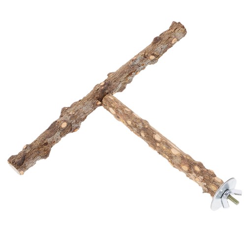 Bastone legno pappagallo - ,