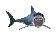 Poster rendering 3D grande