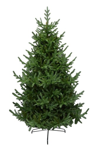 Albero natale 210 - 210, abete