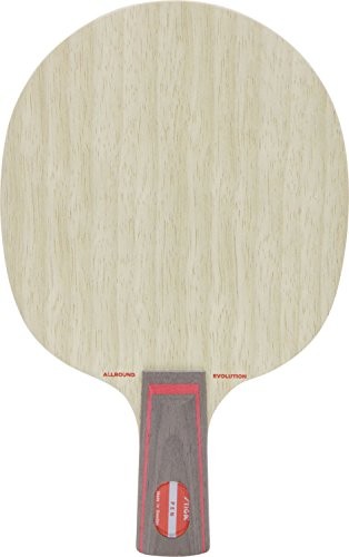 Racchetta ping pong stiga - pong,