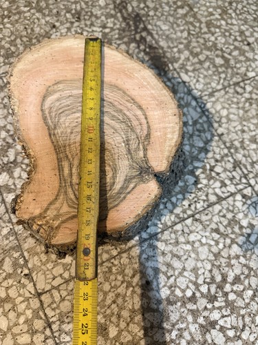 Fetta ulivo con venature - con,