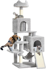 Tiragraffi Grande, XL, Altezza