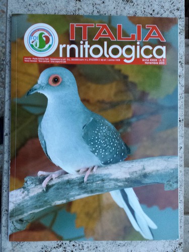 Italia ornitologica 11 - italia, n.11