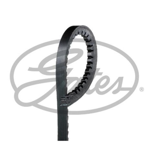 Gates cinghia trapezoidale per - cinghia,