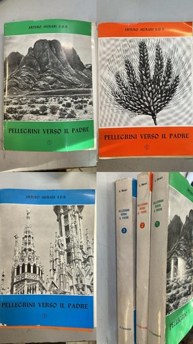 Pellegrini verso padre - pellegrini, il