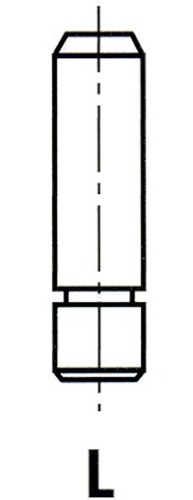 Guida valvole ipsa vg008400 - guida,