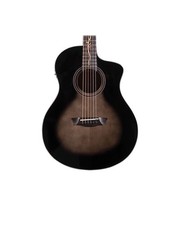 Washburn chitarra - washburn,