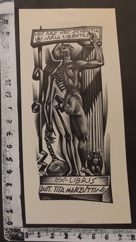 Wunderkammer exlibris 552 - 552, "