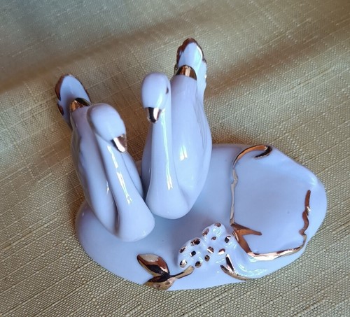 Coppia cigni anatre - coppia,
