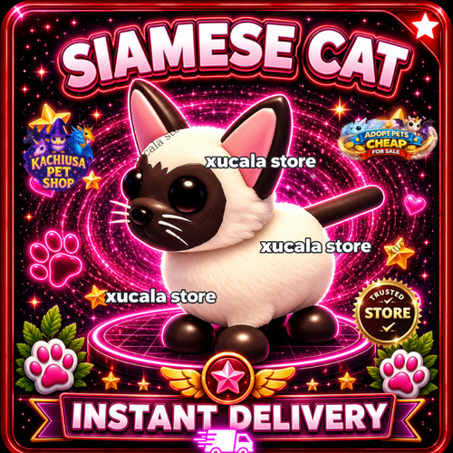 Gatto siamese adopt - ✨,