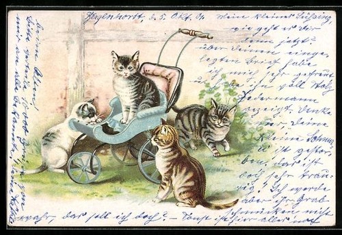 Litografia quattro gatti con - litografia,