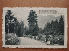 LANDSCAPE WITH COWS AND
