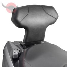 SCHIENALINO / SCHIENALE