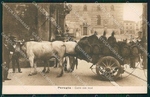 Perugia città carro buoi - perugia,