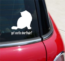 PELLI CORTI ESOTICI? ADESIVO