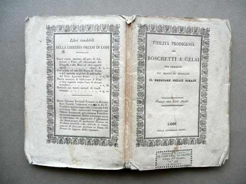 Utilità prodigiosa dei - utilità,