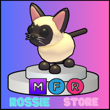 MFR GATTO SIAMESE RICEVI