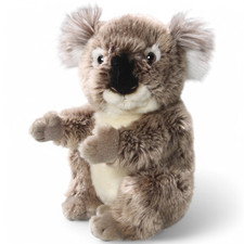 Orso koala circa 22 cm