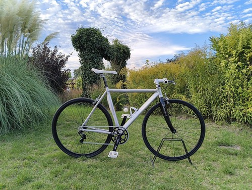Custom singlespeed fixie 28 - fixie, 28"