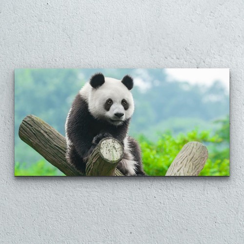 Wandbilder glasbild druck auf - wandbilder,