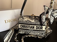 Christian Dior Clutch Limited
