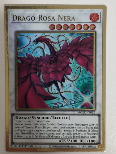 Drago rosa nera - drago,