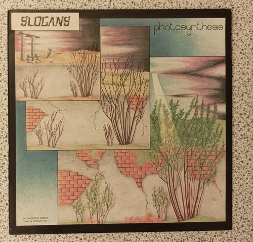 Slogans photosynthesis rare - slogans,