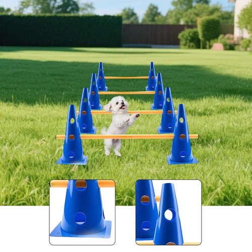 Set coni per agility dog - di,