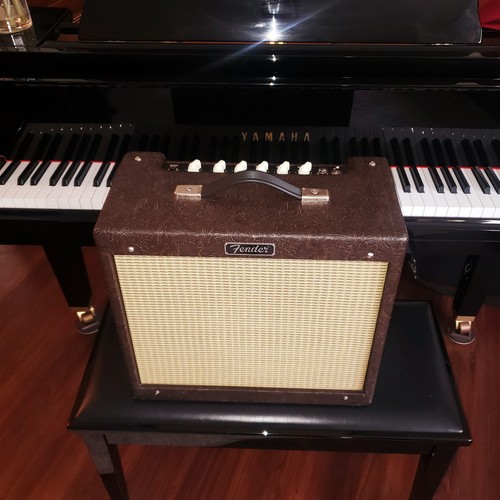 Amplificatore combinato fender - amplificatore,