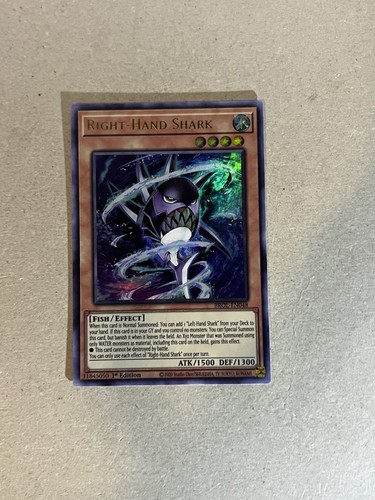 Squalo destro brol en048 - squalo,