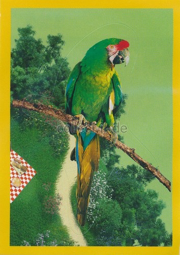 Panini national geographic - panini,