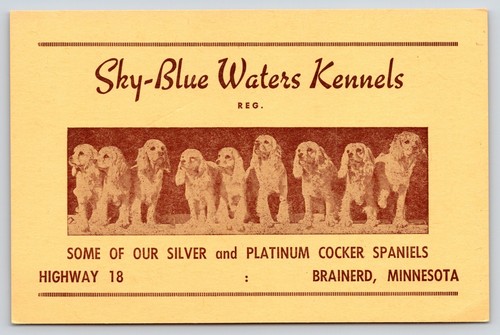 Brainerd canili sky blue - brainerd,