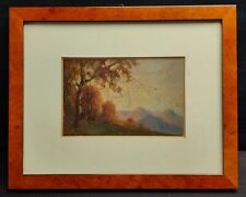 Giovanni Colmo Pittore Paesaggista -  (To) 13-5-1867   (To) 24-4-1947