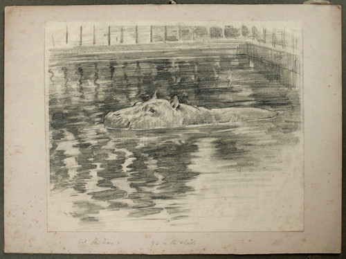 Armatura george denholm - armatura,