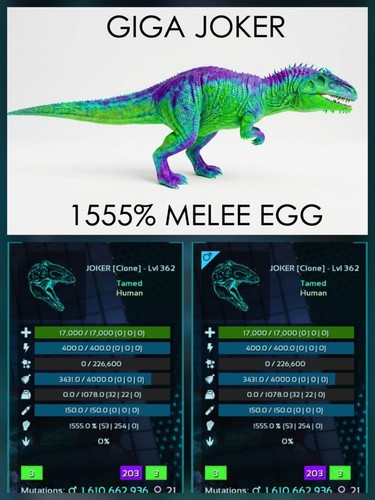 Giga top stats coppia uova - -,