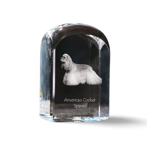Cocker spaniel americano - cocker,