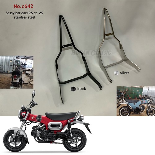 Sissy bar posteriore - sissy,