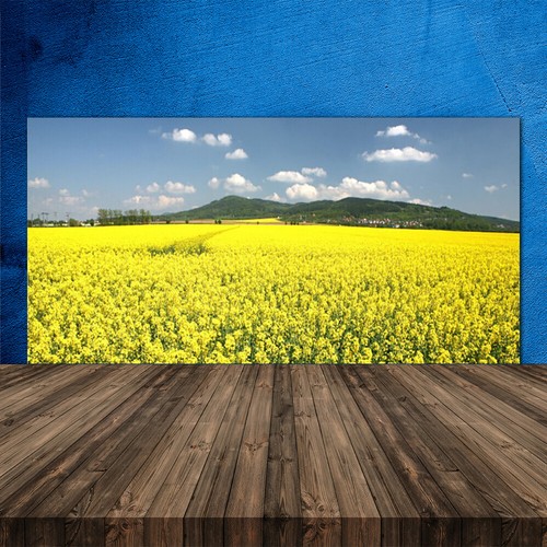 Paraschizzi cucina 120x60 - paraschizzi,